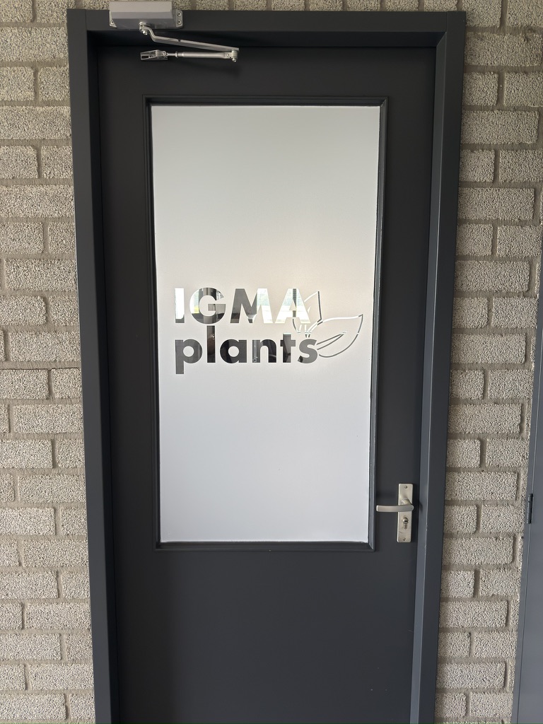 Frontaal aanzicht van een binnendeur met dusted IGMA Plants-raam