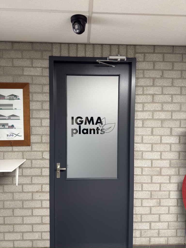 Donkere binnendeur met dusted glas en IGMA Plants-logo