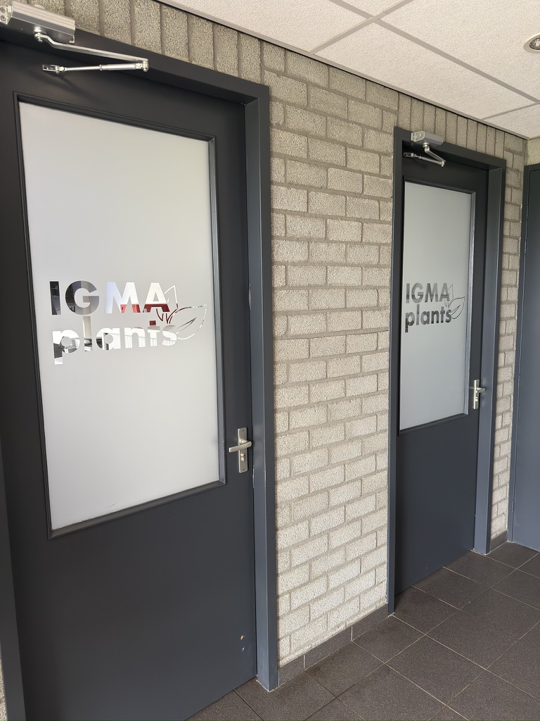 Twee binnendeuren van IGMA Plants met dezelfde dusted glasdecoratie