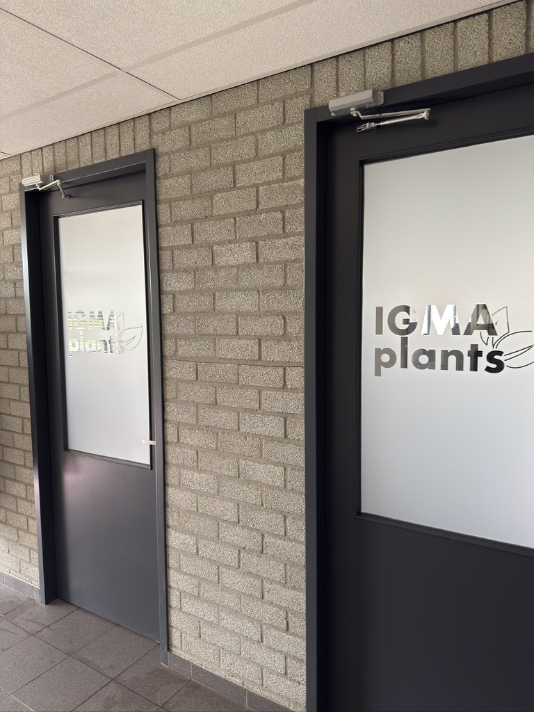Tweede kijkrichting op twee IGMA Plants-binnendeuren met dusted folie