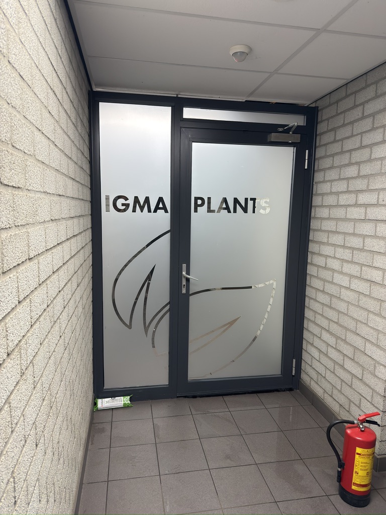 Entree van IGMA Plants met dusted privacyfolie, uitgesneden naam en bladvormen