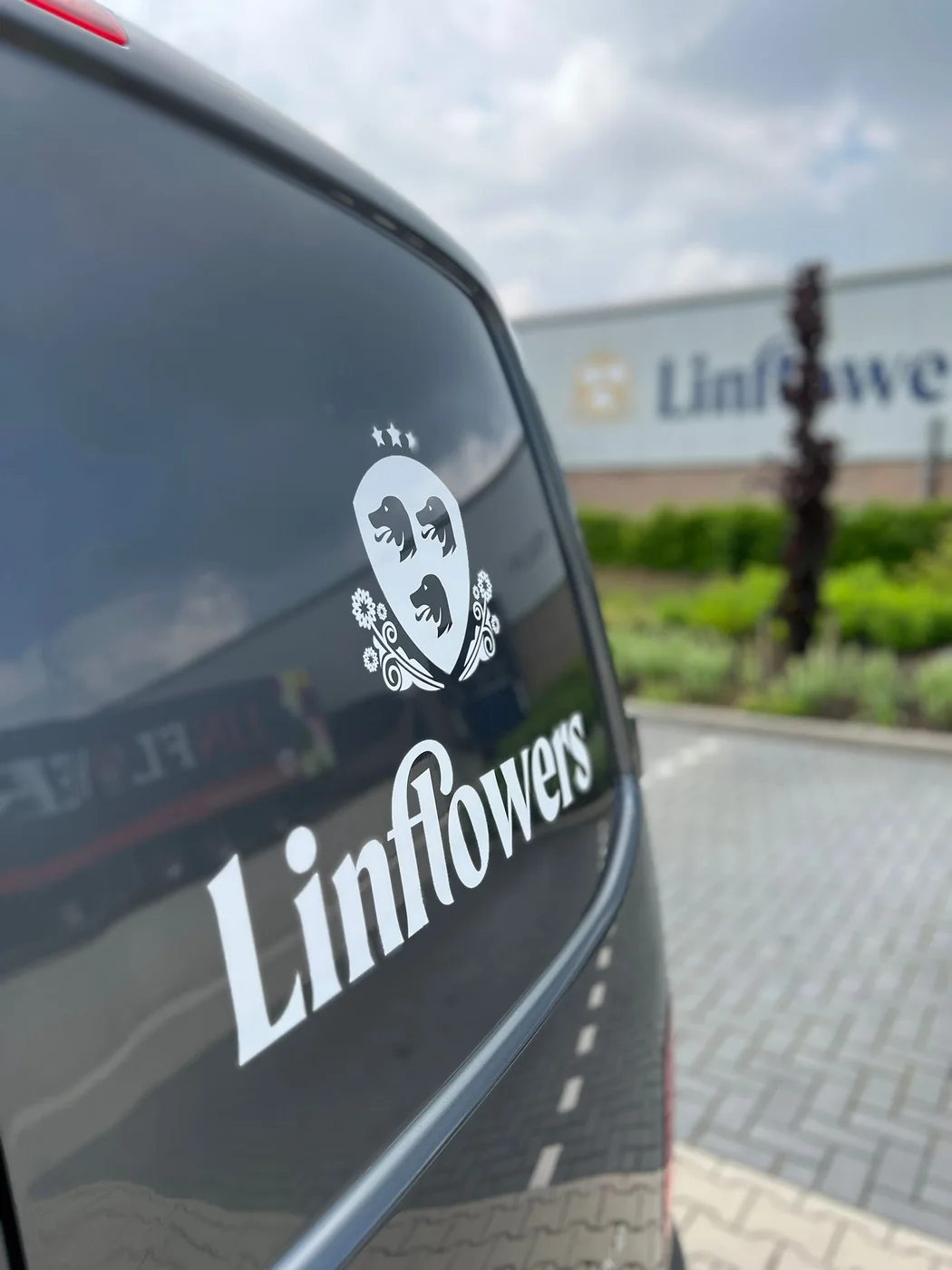 Witte uitgesneden letters en beeldmerk op een donkere autoruit